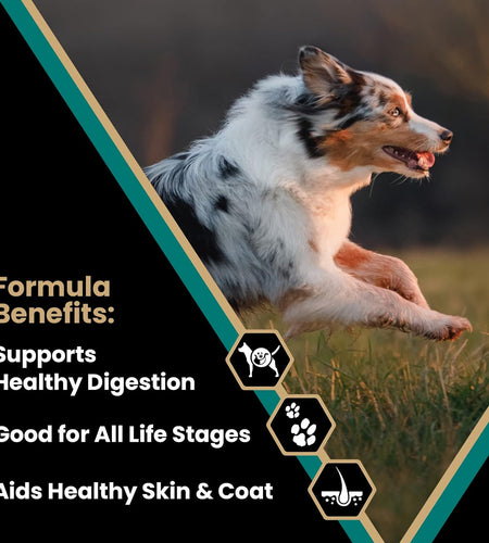 Super Premium Dog Food – Select - Ocean Fish Formula –Gluten Free Dry Dog Food for Normally Active Dogs and All Life Stages